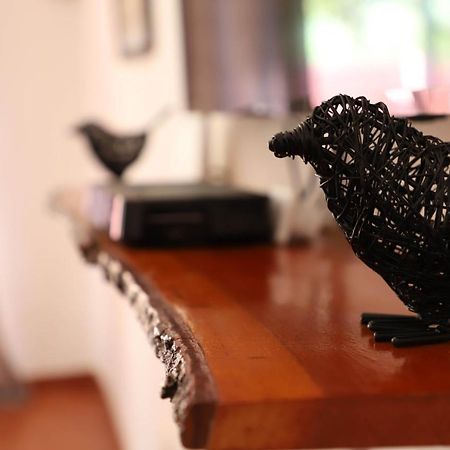 Butterfly Apartments Livingstone Bagian luar foto