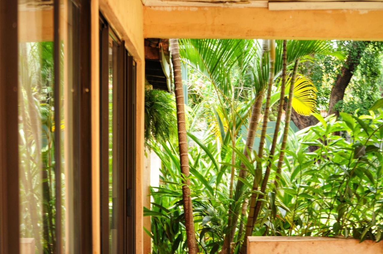 Butterfly Apartments Livingstone Bagian luar foto