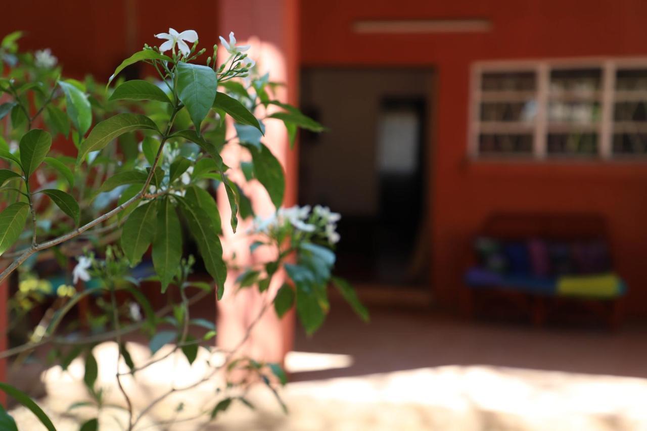 Butterfly Apartments Livingstone Bagian luar foto